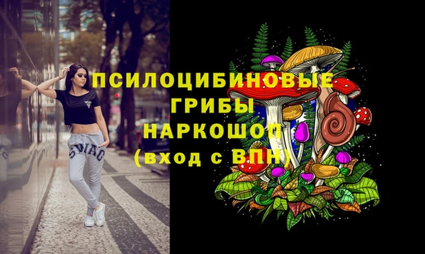 соль ск Горно-Алтайск
